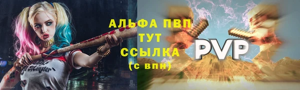 твердый Осинники