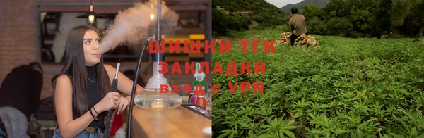 твердый Осинники